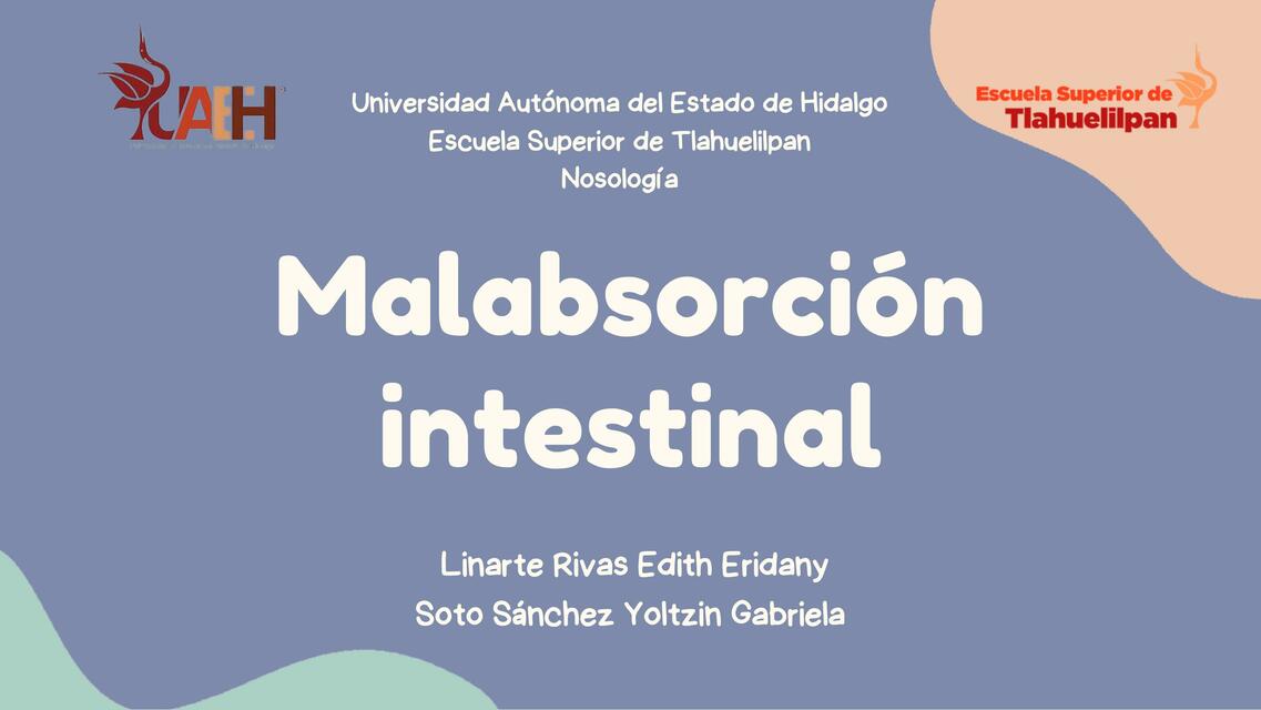 Malabsorción intestinal