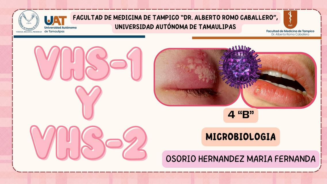 Virus de herpes simple tipo 1 y 2