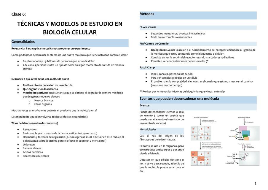 Técnicas y modelos de estudio en biología celular