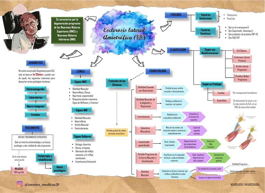 ESCLEROSIS LATERAL AMIOTRÓFICA (ELA) Y ESCLEROSIS MÚLTIPLE (EM)