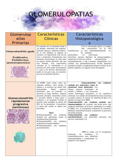 Glomerulopatias 