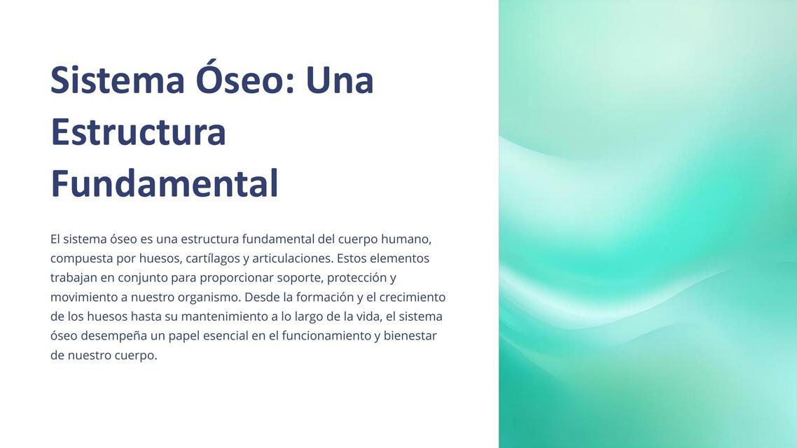 Sistema Óseo: Una Estructura Fundamental