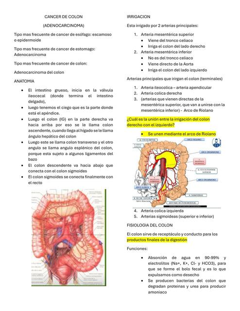 CANCER DE COLON