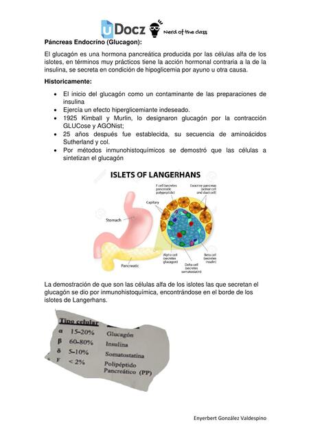 Páncreas Endocríno glucagon