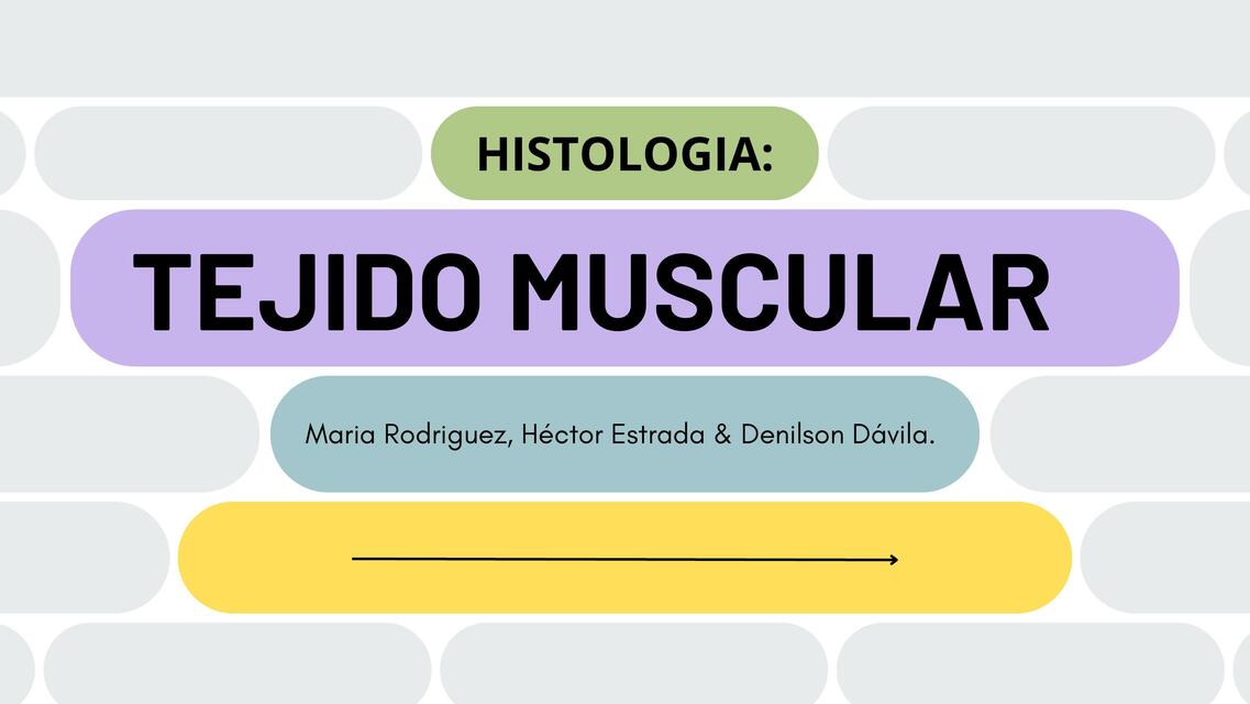 Tejido Muscular Histologia