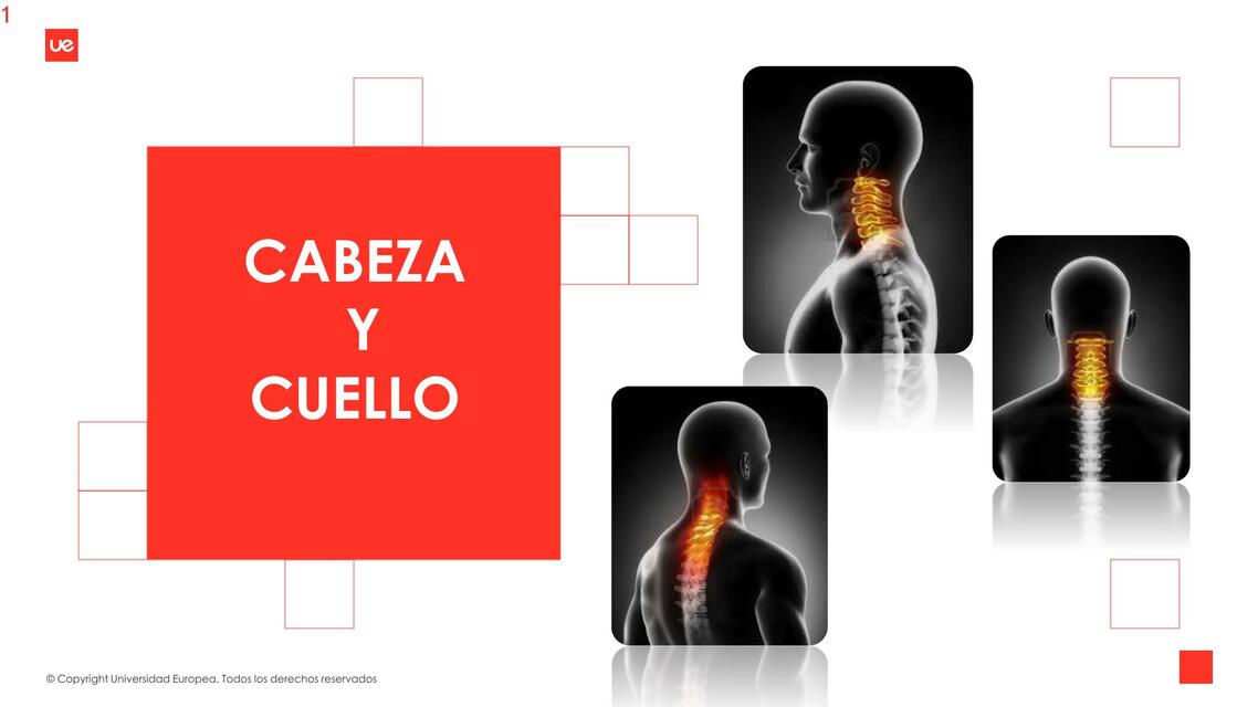 Columna Cervical 