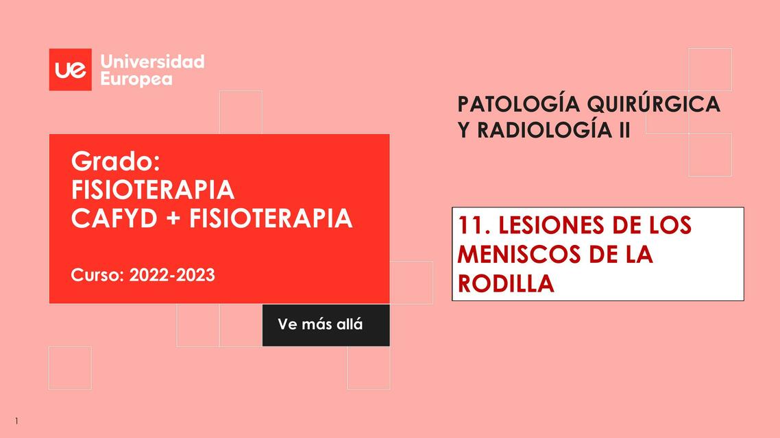 Lesiones de los meniscos de la rodilla