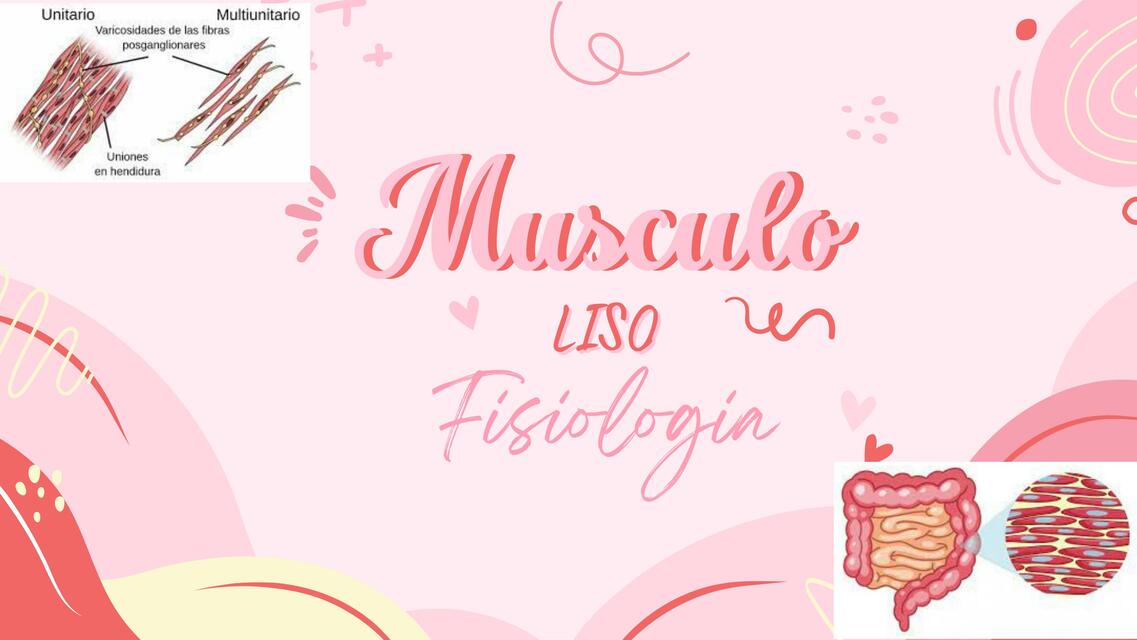 Músculo liso 