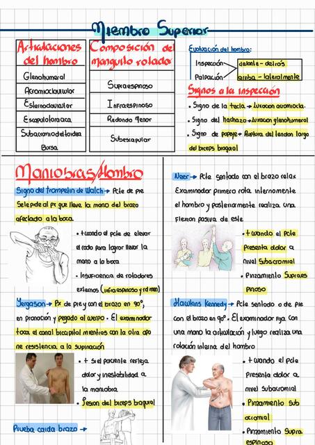 Maniobras de Osteomuscular| Miembro Superior