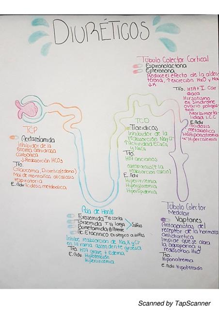 Diureticos (Farmaclogia)