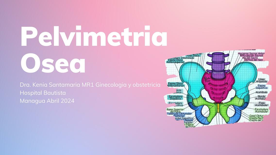 Pelvimetría ósea Móvil Fetal Canal De Parto 