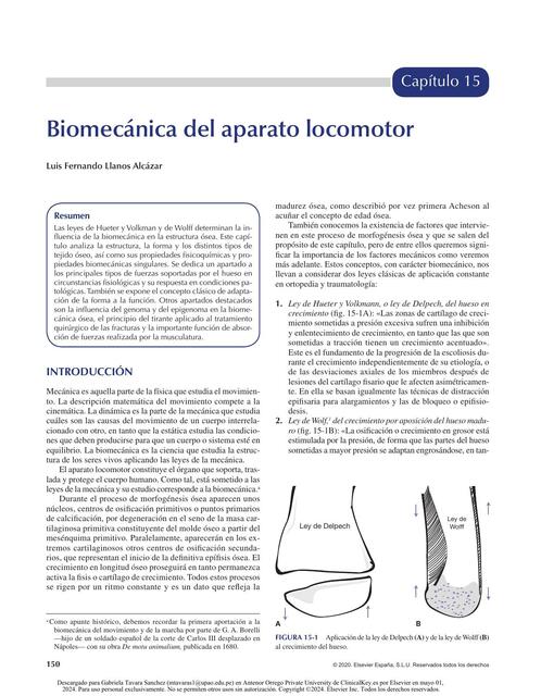 Biomecánica del aparato locomotor