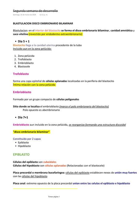 Segunda semana de desarrollo