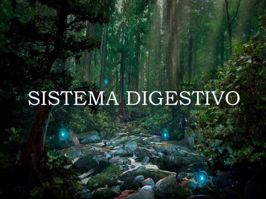 Sistema digestivo