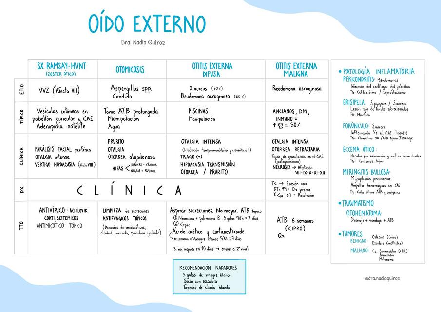 Oído externo