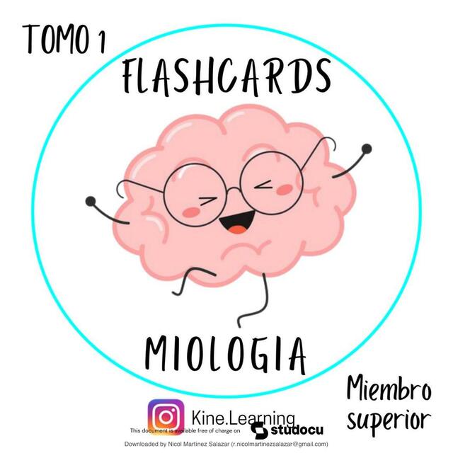 Flashcards Miembro Superior