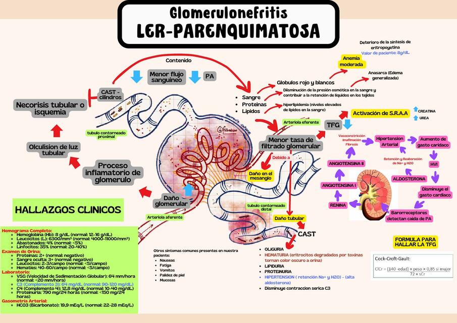 Falla renal medicina 