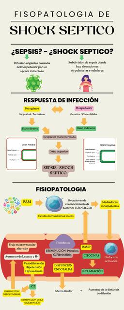 Shock septico 
