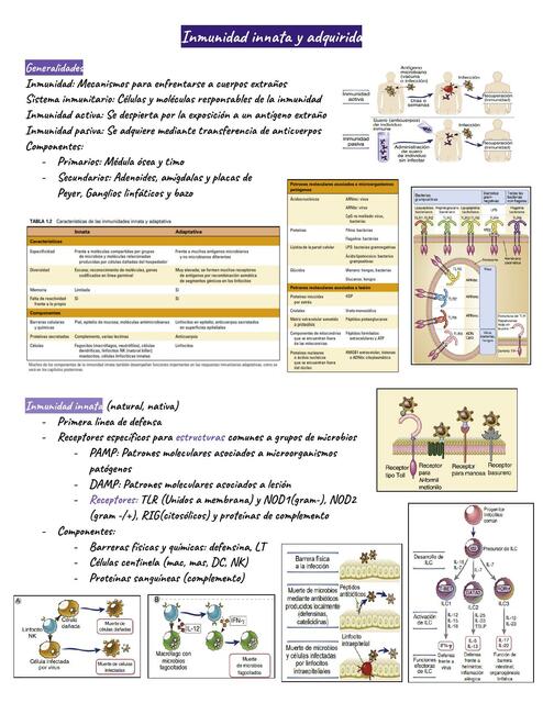 Inmunidad innata y adquirida 