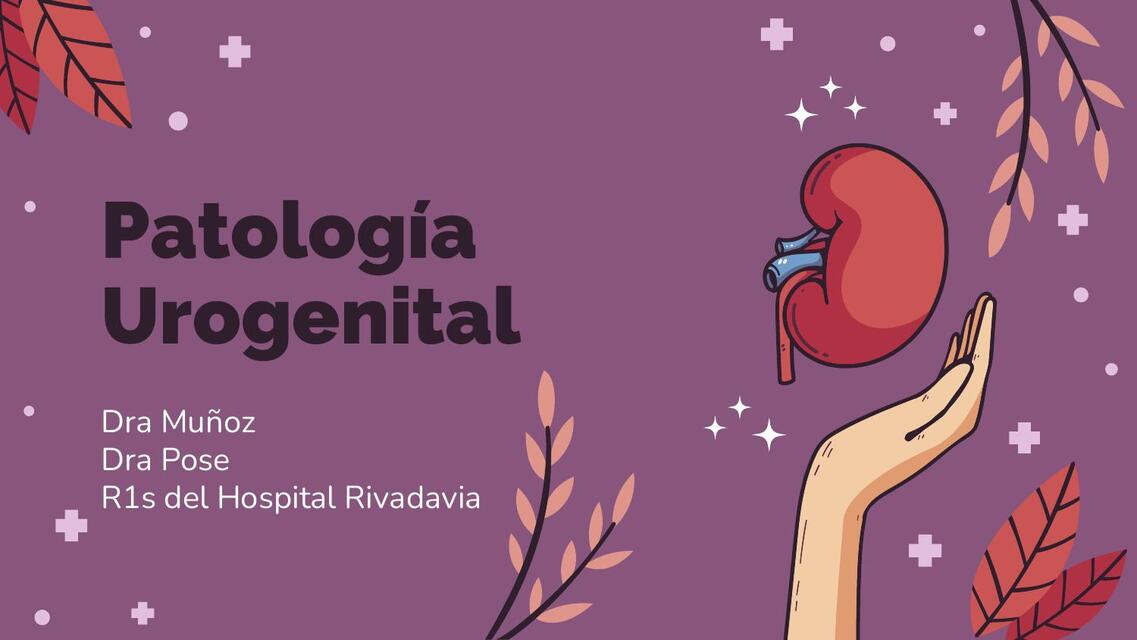 Patología urogenital