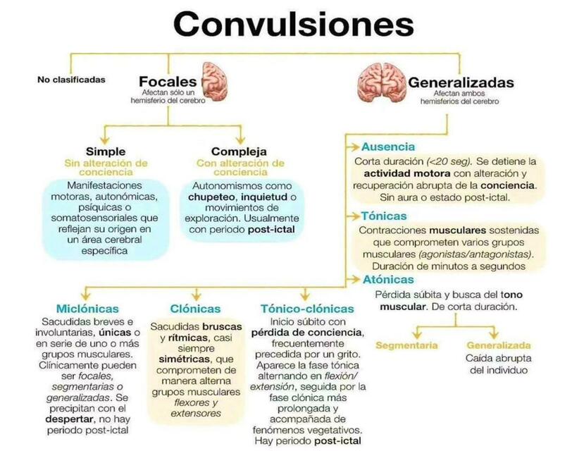 Convulsiones fraii uDocz