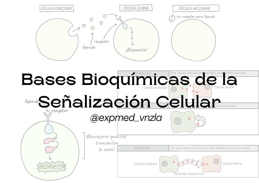 Bases Bioquímicas de la Señalización Celular