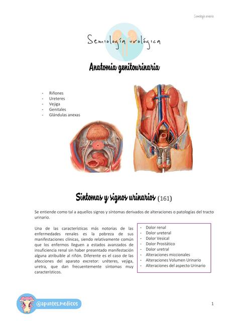 Semiología Urológica