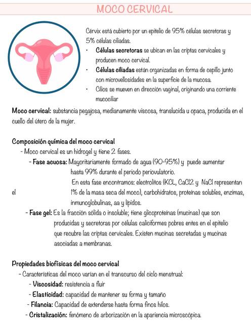 Moco cervical