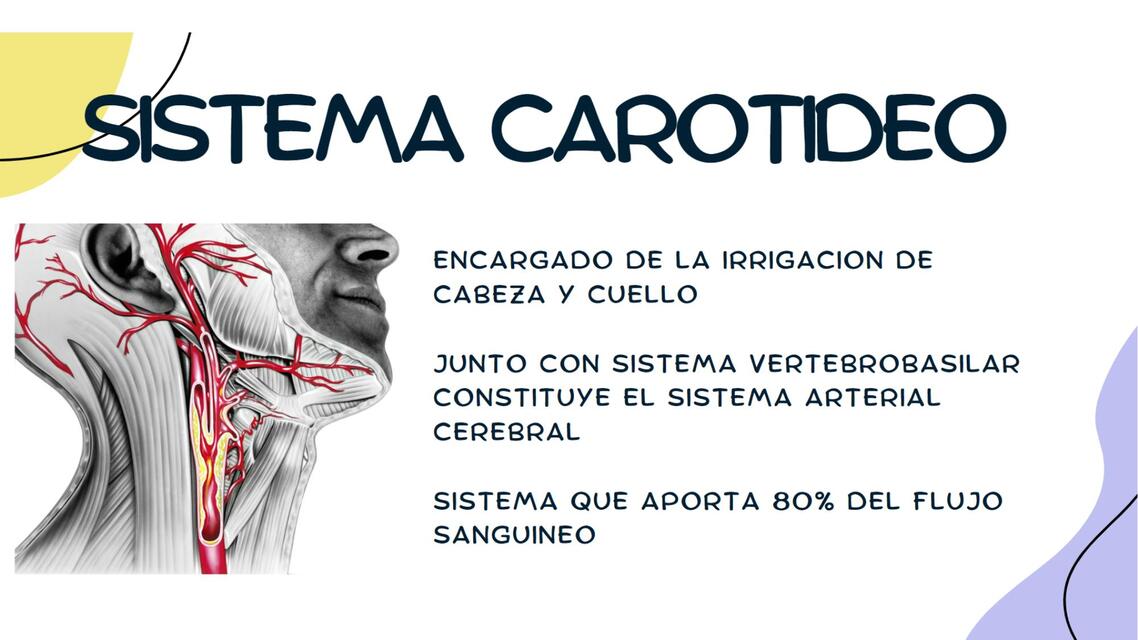 Sistema Carot deo Diana Ter n UDocz sistema-carot-deo-diana-ter-n-udocz
