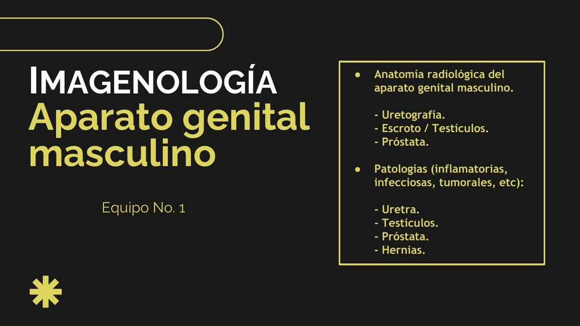 Imagen del Aparato Genital Masculino