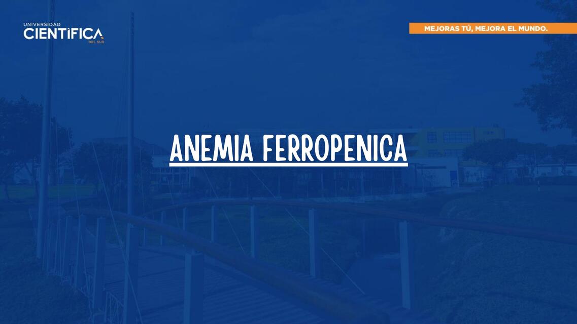 Síndrome anémico, anemia ferropénica 