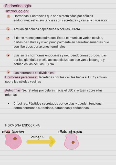 Endocrinología Generalidades