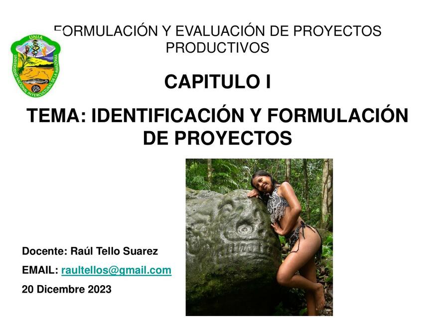 Identificación y formulación de proyectos