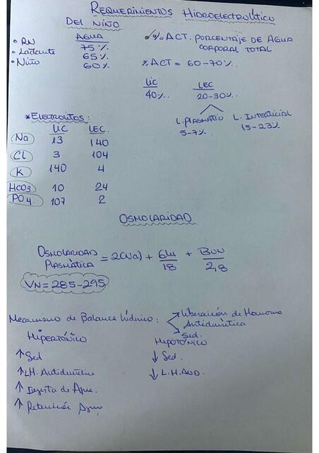 REQUERIMIENTO HIDROELECTROLÍTICO