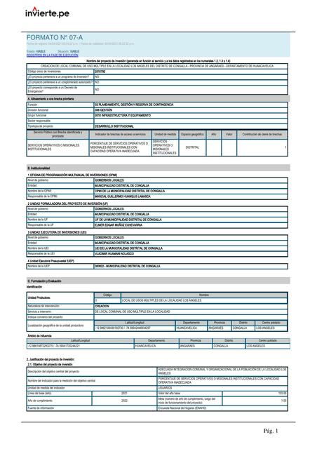 Proyecto de Inversión 