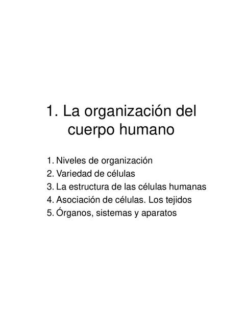 Organización del cuerpo humano