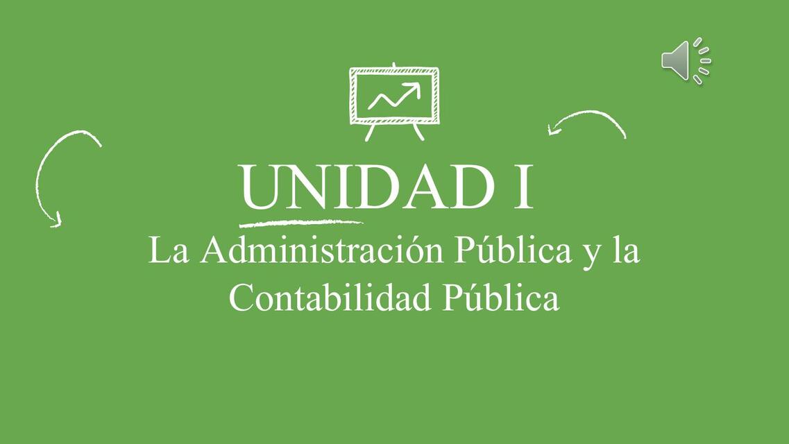 La Administración Pública y Contabilidad Pública 