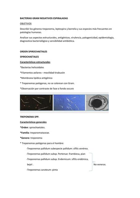 Bacterias Gram negativos espiraladas