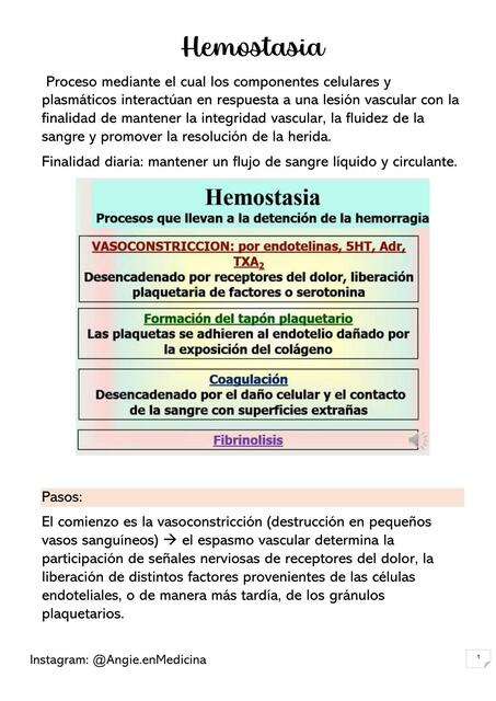 Hemostasia Transcripto clase cátedra 2