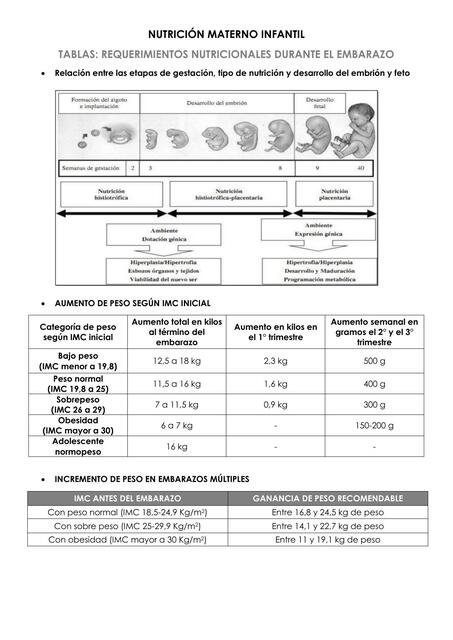 Requerimientos Nutricionales Durante el Embarazo 