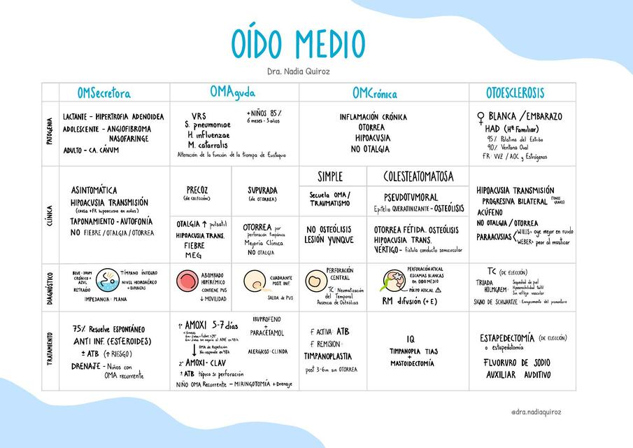 Oído Medio