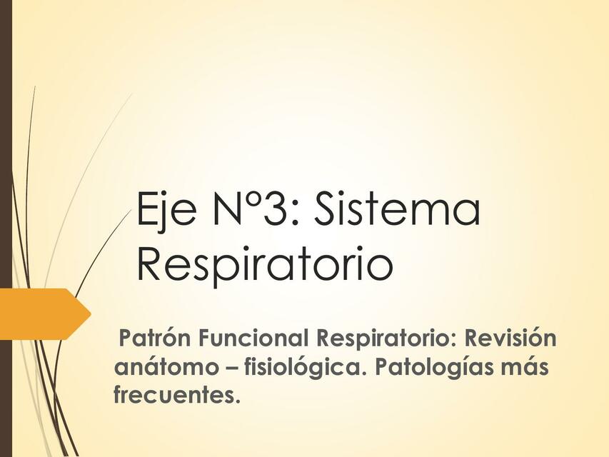 Sistema Respiratorio