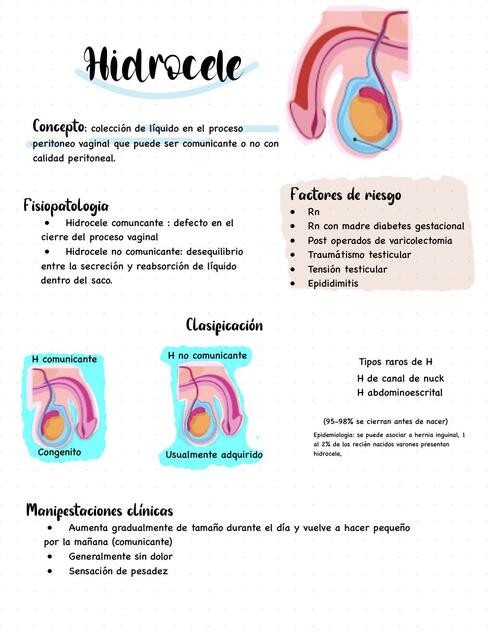 UROLOGIA