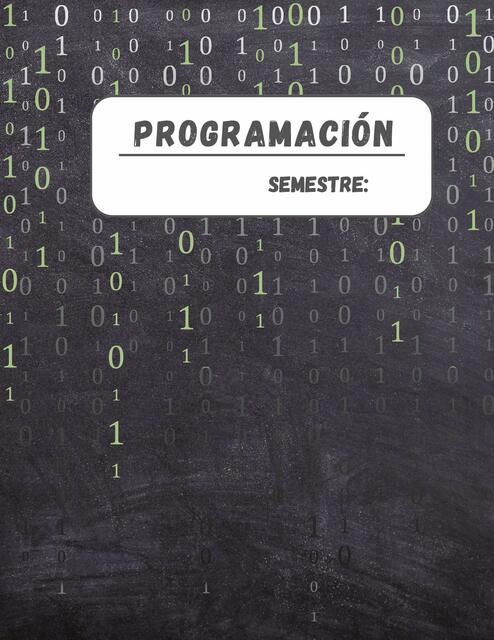 Portada programación