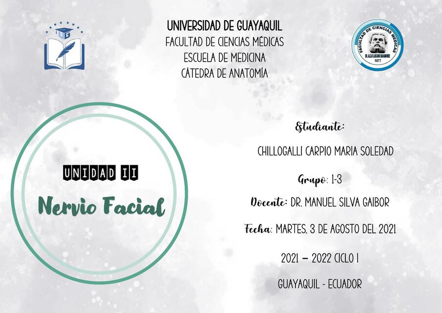 NERVIO FACIAL