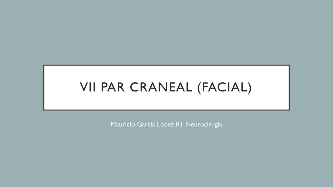 VII Par (Facial)