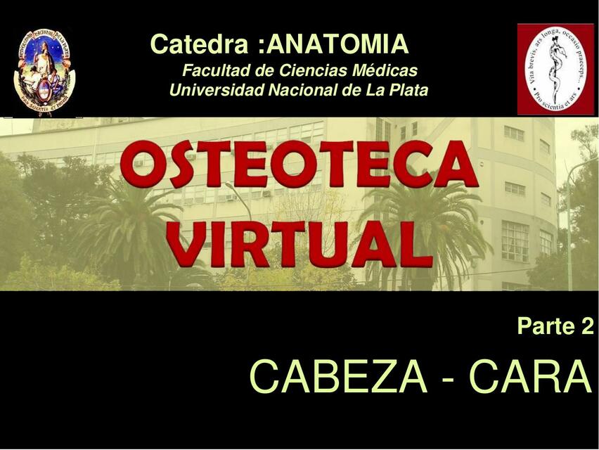 OSEOTECA VIRTUAL HUESOS DE LA CARA 1