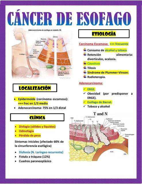 CANCER DE ESOFAGO WORD