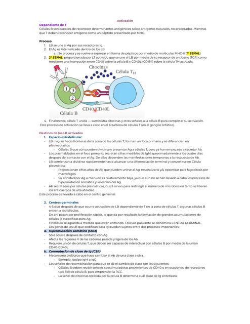 CAPÍTULO 11 Activación diferenciación y memoria