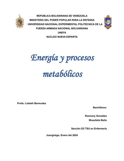 ciclo de krebs